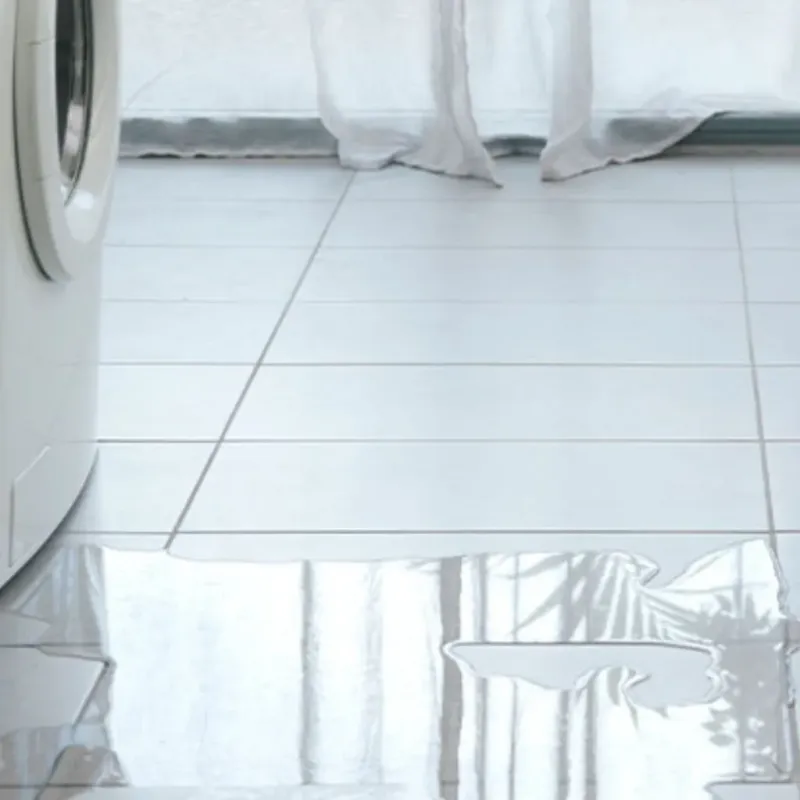 Appliance Leak Cleanup in Grayson County, VA