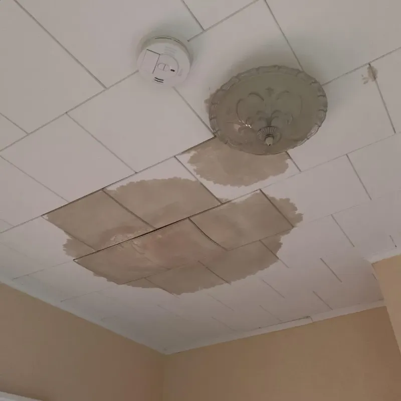 Ceiling Water Damage Repair in Grayson County, VA