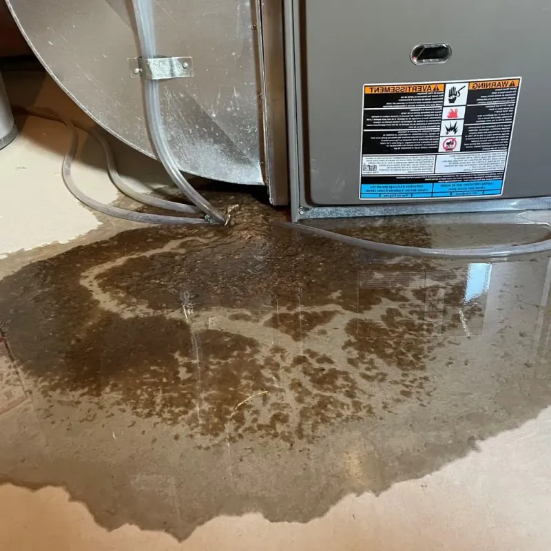 Pipe Burst and Leak Restoration in Grayson County, VA